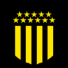 https://img.sddxxbbjb.com/img/football/team/68b4fd9f62681acaf82ffd68ad2f51f2.png