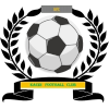 https://img.sddxxbbjb.com/img/football/team/6dc6d59af2f0962597b412473a6708ee.png